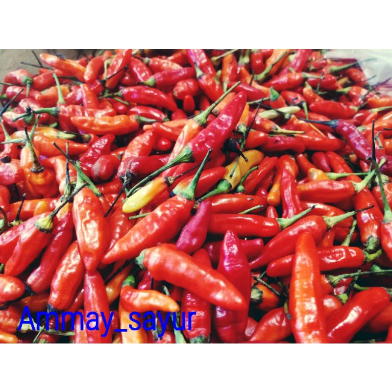 

cabai rawit merah 500g/Ammay_sayur