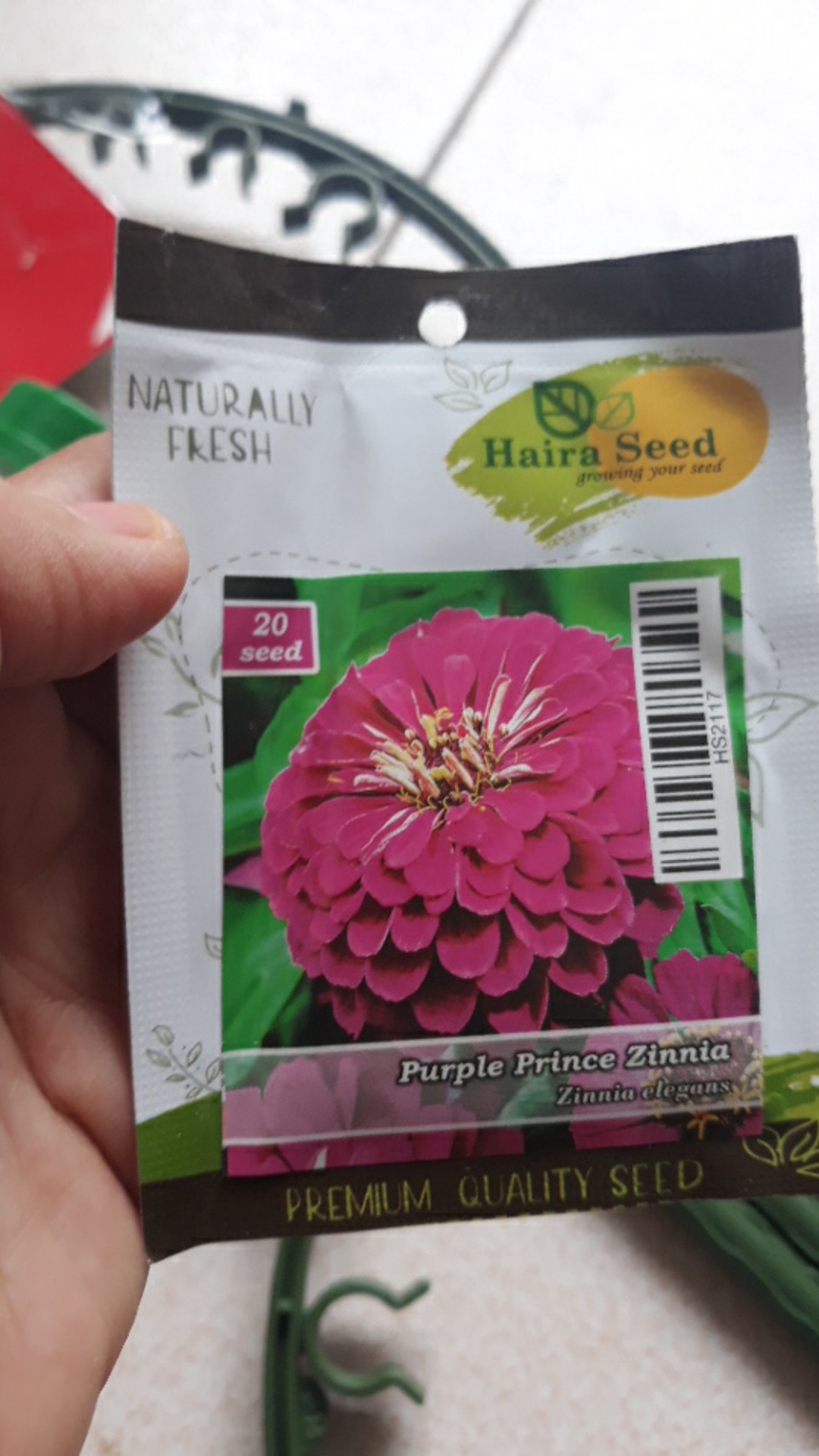 Benih-bibit Bunga Zinnia Ungu/purple Prince (haira Seed)
