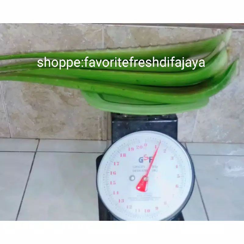 

Lidah buaya 1 kg
