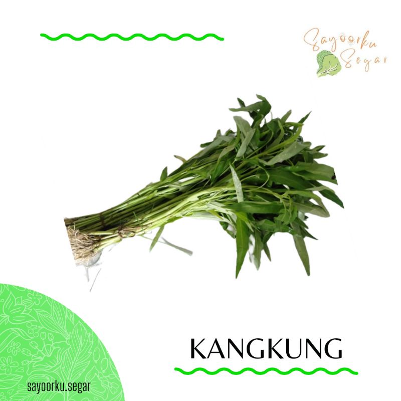 

KIRIM BESOK Kangkung 1 ikat