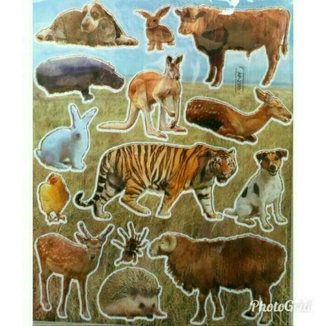 

Stiker edukasi karakter - Sticker animal belajar binatang