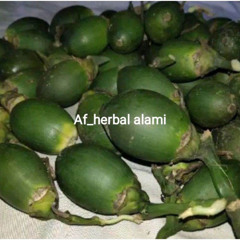 

BUAH PINANG/JAMBE 10 biji