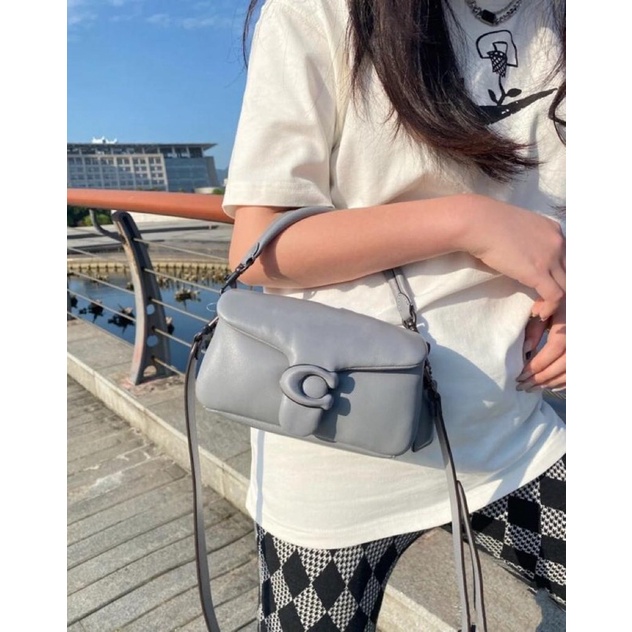 CH Pillow Tabby 18 & 26 C3880