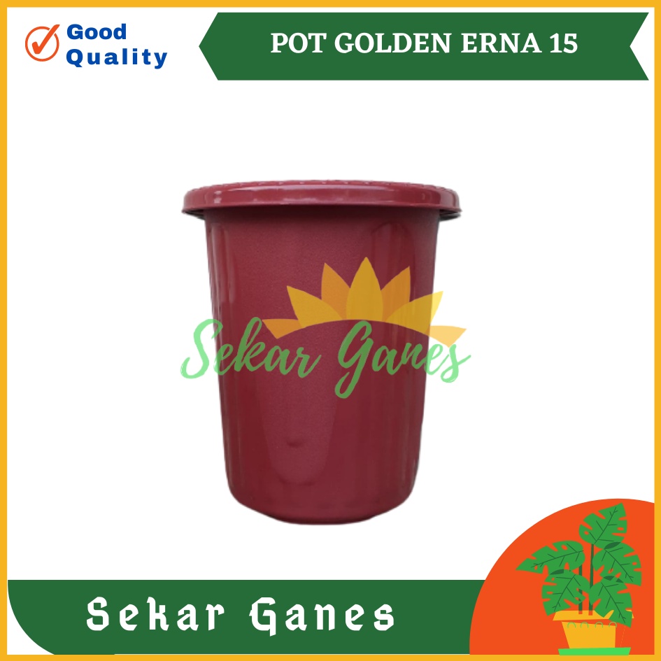 Pot GE15 Golden Erna 15 Putih Bening Transparan Hitam Merah Bata Coklat Terracota Terracotta Garden Of Love Mirip Pot Yogap Ypt 10 13 15 Putih Coklat Merah Bata Bening Transparan Pot Yogap 17 18 19 Pot Yogap Murah Pot Bunga Tinggi Pirus Tegak Bagus Tebal