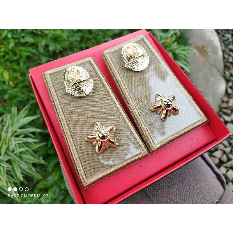 PANGKAT PNS PEMPROV JABAR 3D - PANGKAT ASN PEMPROV JABAR 3D HIGT QUALITY EXCLUSIVE