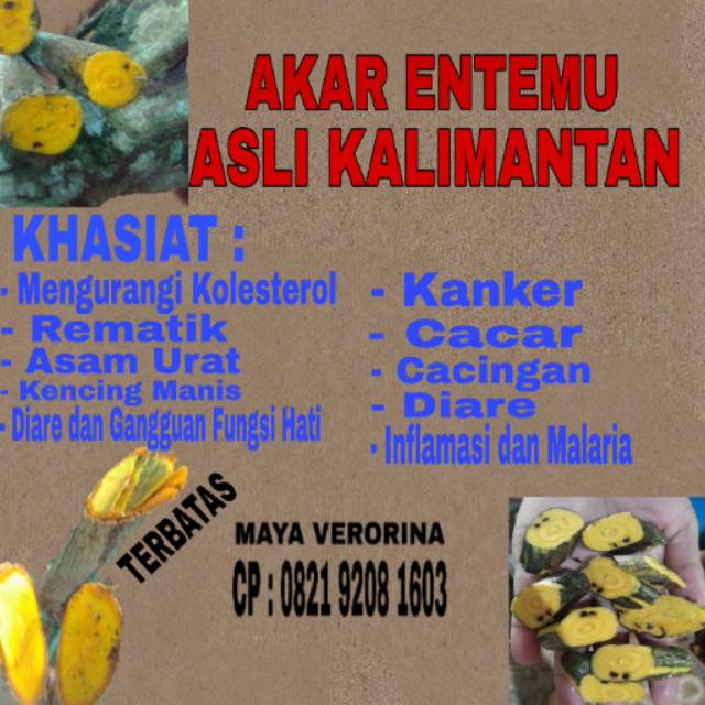 

Akar entemu dayak
