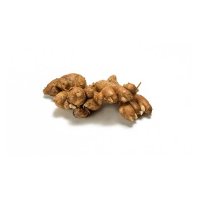 

Kencur Segar 250 Gram