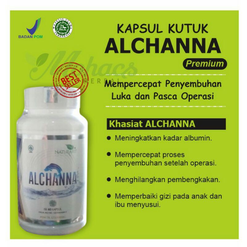 ALCHANNA ORIGINAL KAPSUL KUTUK BERKUALITAS KAPSUL EKSTRAK IKAN GABUS PREMIUM VIP ALBUMIN OBAT PASCA OPERASI CESAR SESAR GROSIR TERMURAH