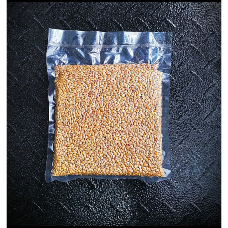 

GANDUMUTUH-WHOLE,WHEAT,IMPORT-GRADE,SUPER