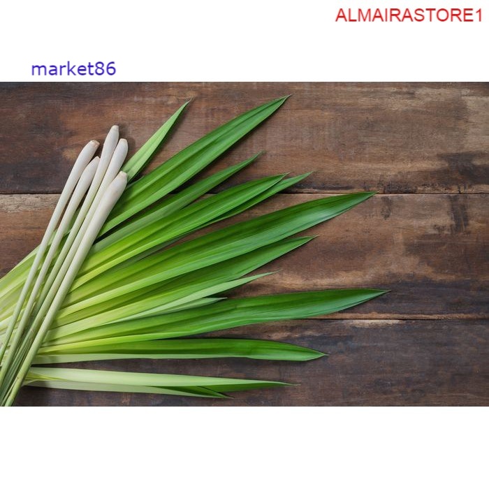 

Grosir Sayuran Segar Sayur FRESH Daun Pandan 100 Gram murah - Market86