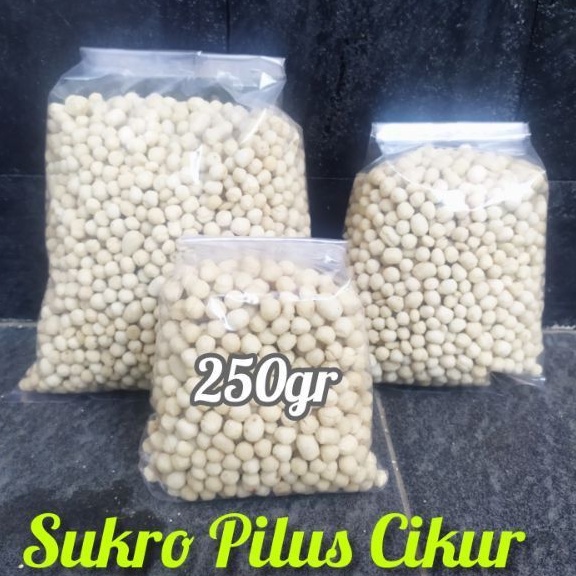 

SUKRO PILUS CIKUR