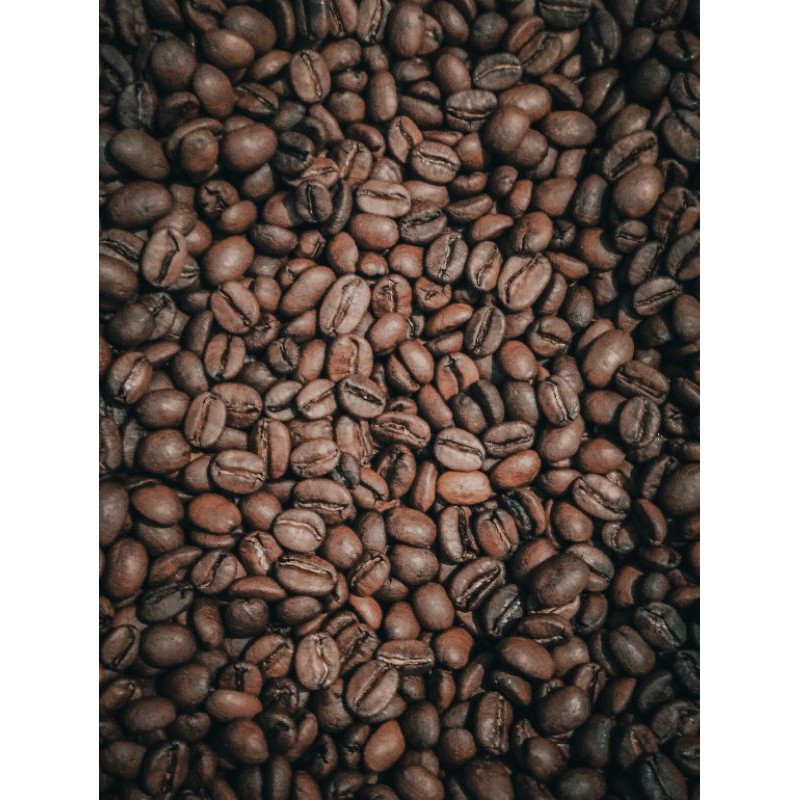 

robusta Dampit