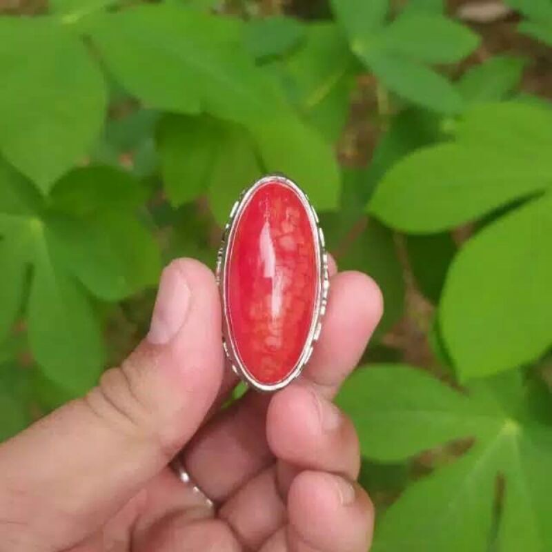cincin batu akik pandan sisik naga merah (N)
