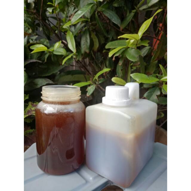 

MADU HUTAN SIALANG SUMATERA 500GR