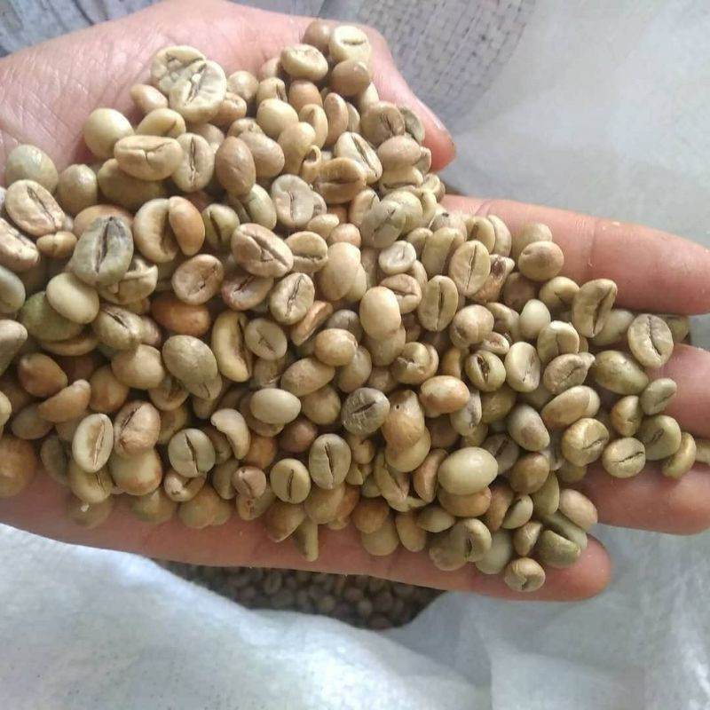 

Green bean Biji kopi robusta ci bunar 500grm