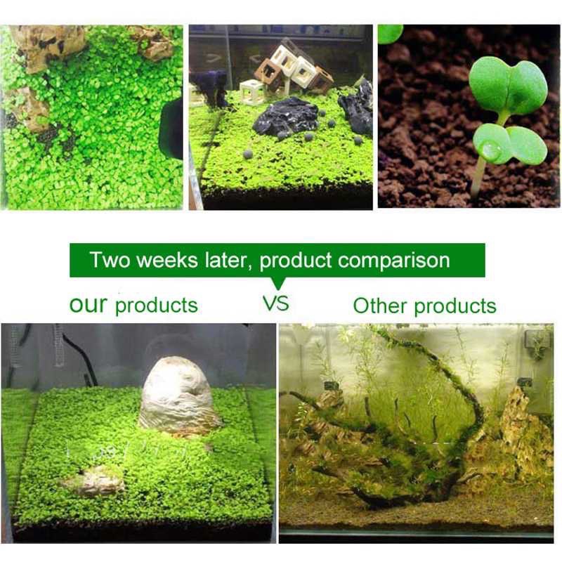 Bibit Rumput Air Dekorasi Aquarium Landscape Ornament - H0027