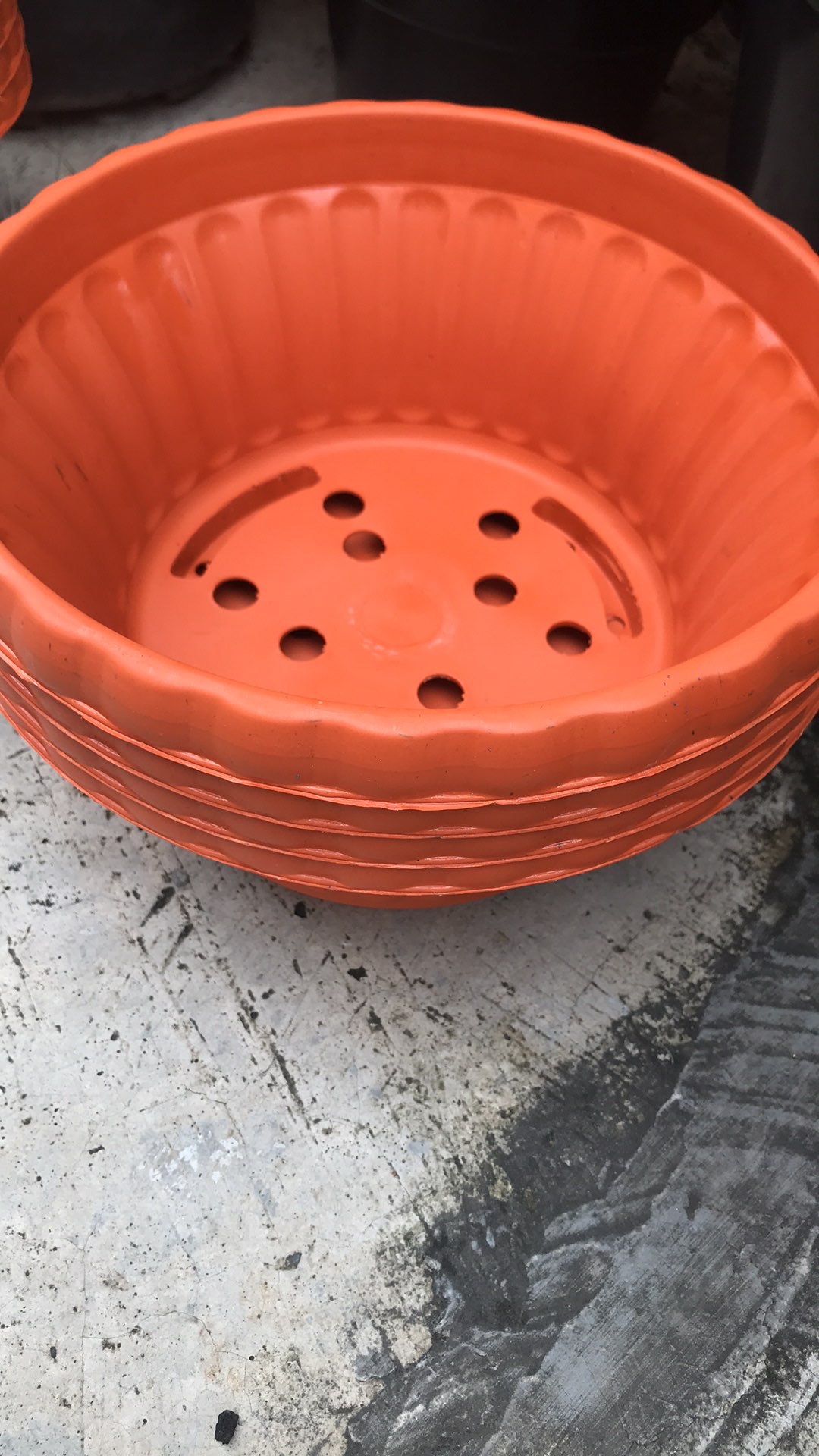 Pot Bunga Tanaman Bonsai Glory 25 Merah