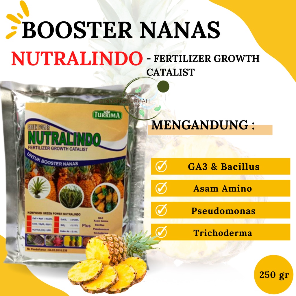 Pupuk Perangsang Nanas, Pupuk Nanas Cepat Besar, Pupuk Booster Nanas Berbuah Besar