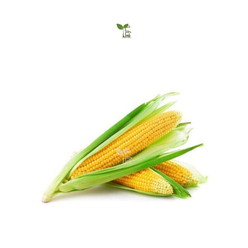 

jagung manis sayuran 250 gram