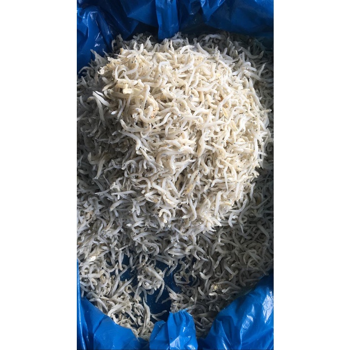 

Teri Nasi