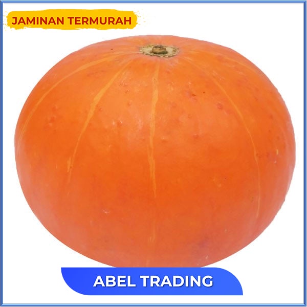 

KABOCHA KUNING 1075 gr