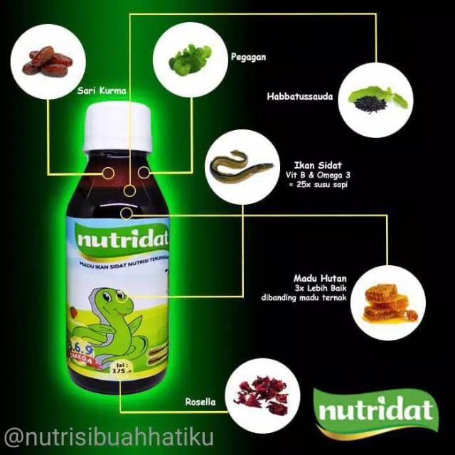 NUTRIDAT Madu Herbal Alami BELI 4 GRATIS 1 Meningkatkan Kecerdasan Pada Anak Dan Suplemen Penambah Nafsu Makan Anak