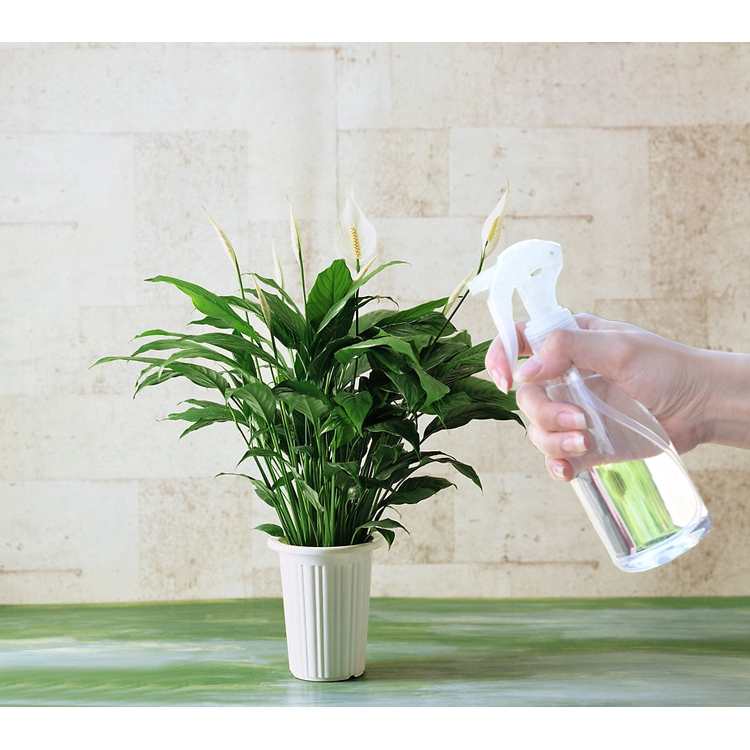 3 size Multi-function plastic watering can, Plant Flower Watering Pot Spray Bottle, Household cleaning Watering Pot Spray Bottle,Garden Mister Sprayer Gardening