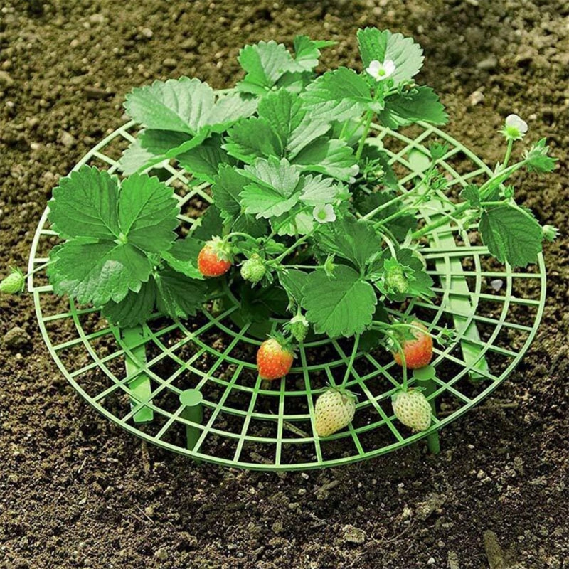 Strawberry Stand Frame Holder Balkon Rak Tanam Penyangga Buah Tanaman Bunga Rambat Rambat Pilar Berkebun Stand