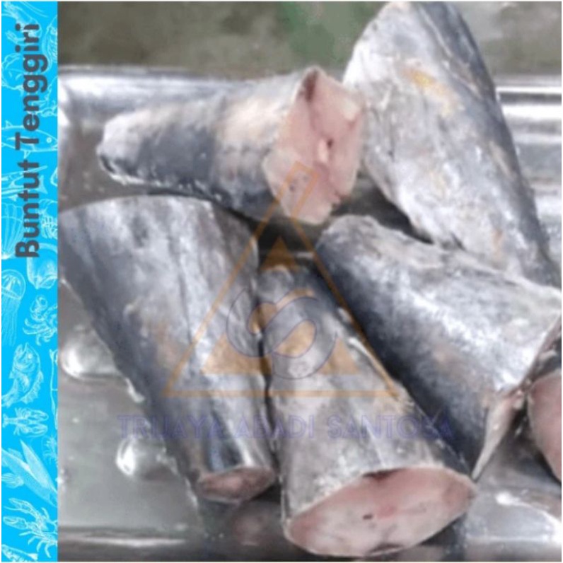 

Tenggiri / Buntut Tenggiri / Ekor Tenggiri 1 Kg