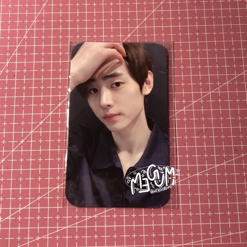 Sunghoon Neck Pillow Photocard
