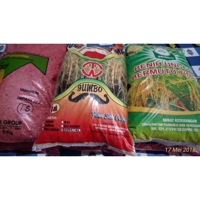 Benih Pertanian // bibit Padi // INPARI 42