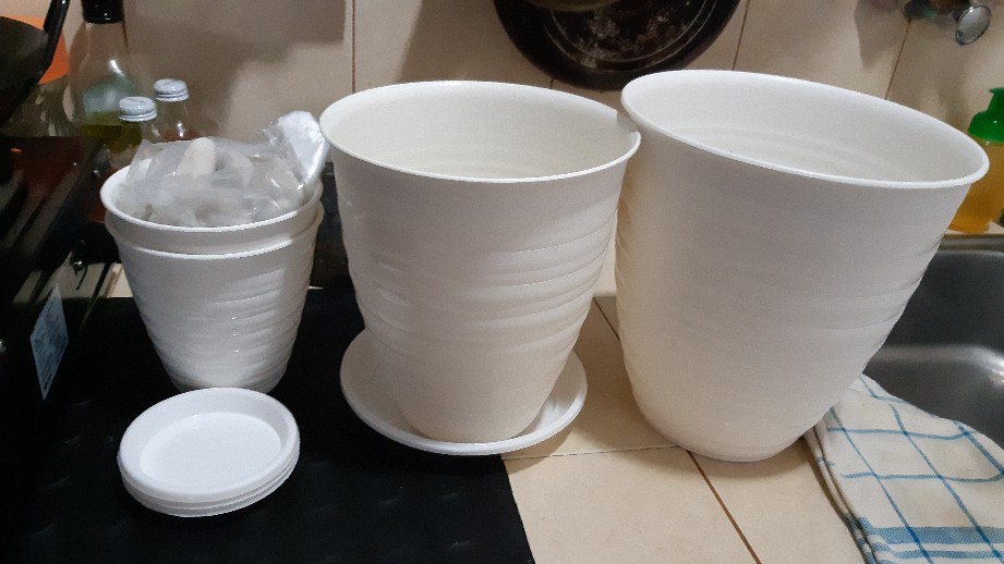 Ori 100% Pot Tawon Tinggi Pirus / Tirus 18 Cm + Tatakan Asli Budi Jaya Bjp Bunga Pupuk Daun Bibit