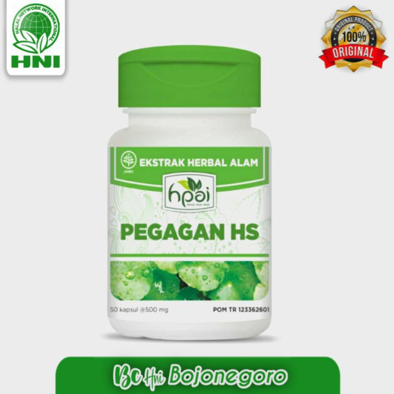 Pegagan HS HNI/pegagan HS HNI isi 50 kapsul