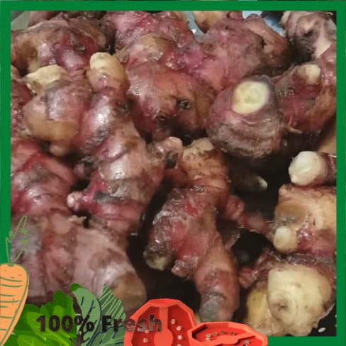 

Jahe Merah Bersih Segar dan Fresh uk.1Kg