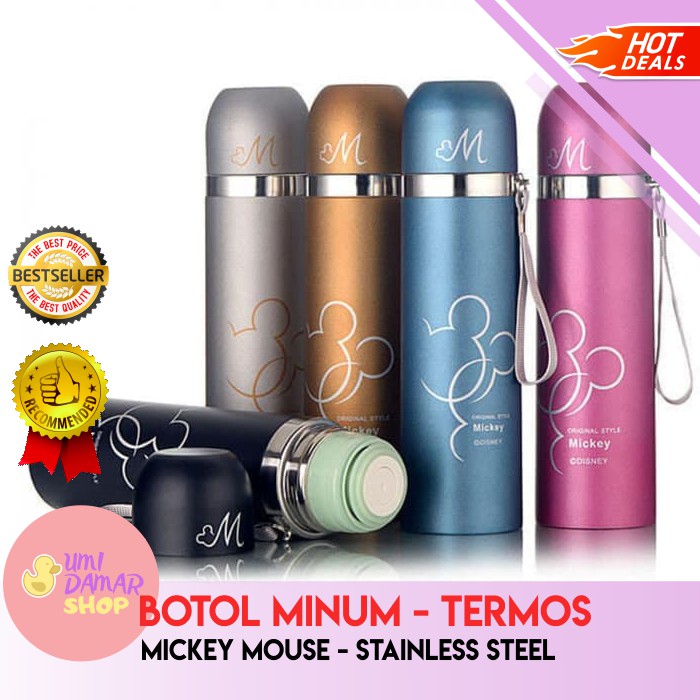 TERMOS KARAKTER / DISNEY / TERMOS / THERMOS / TERMOS AIR PANAS / TERMOS MINI / TERMOS KECIL / ANAK