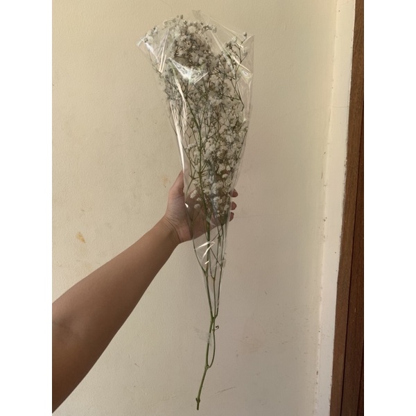 Bunga Baby Breath Asli Import per Tangkai Fresh Flower