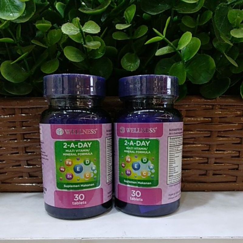 Wellness 2 A day Multivitamin Mineral '30 tab