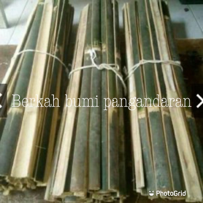 Batang bilah bambu penyangga tanaman | bambu pagar tanaman