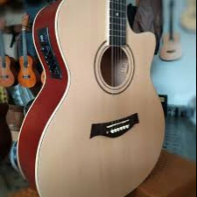 Gitar elektrik taylor