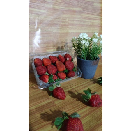 

AKENA BUAH Strawberry lokal (Termurah)