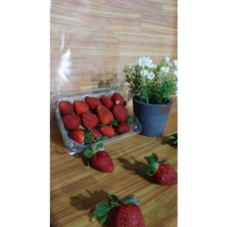 AKENA BUAH Strawberry lokal (Termurah)