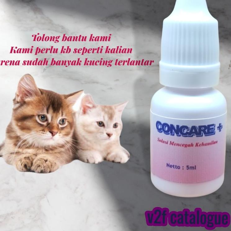 [PROMO ZEV64] KB kucing anjing Concare - pencegah kehamilan Murah Banget