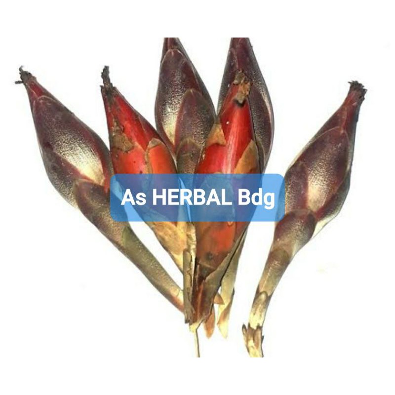 

Jual buah Pining buah galoba buah goloba segar 1 kg-az