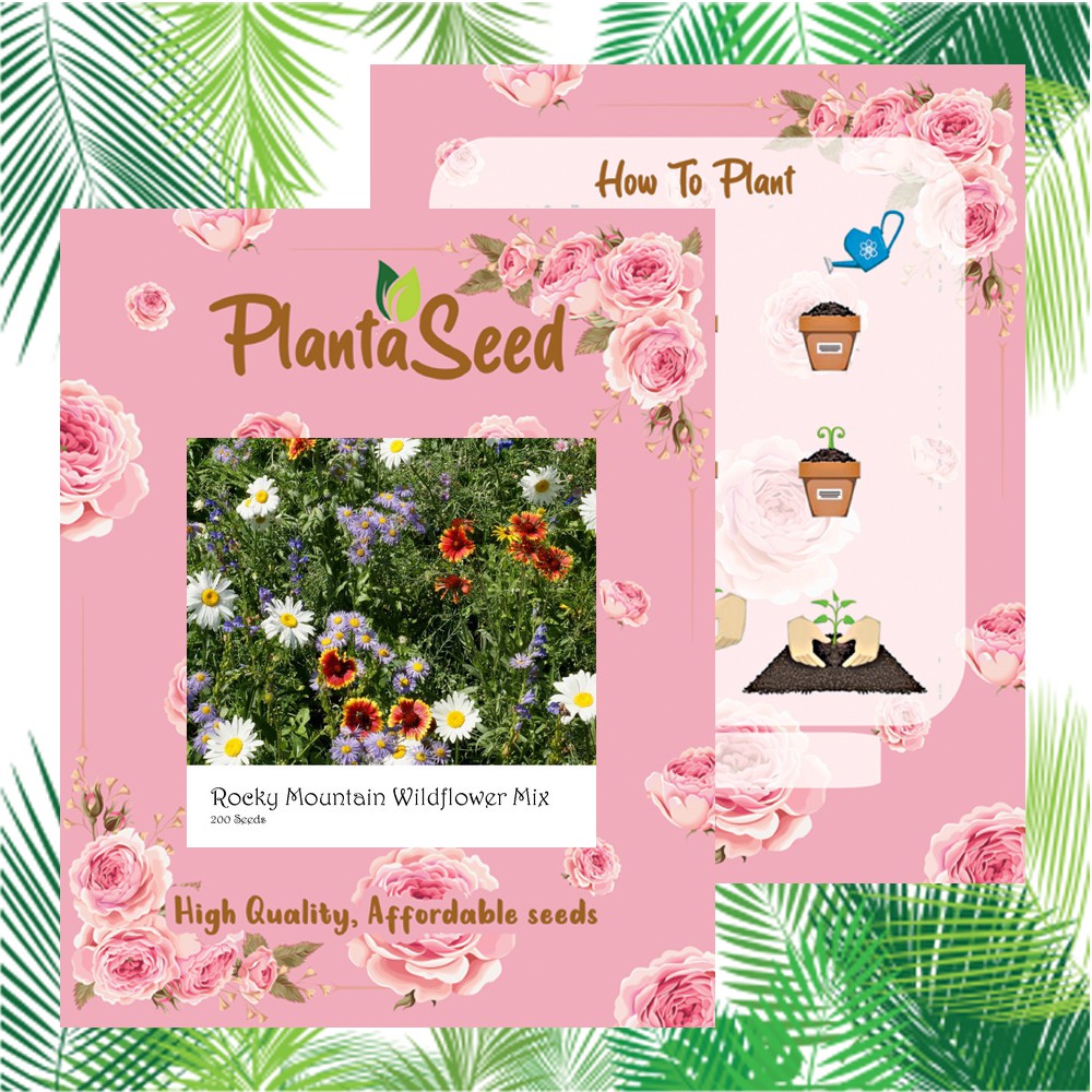 PlantaSeed - 200 Seeds - 18 Jenis Rocky Mountain Wildflower - PAS0230