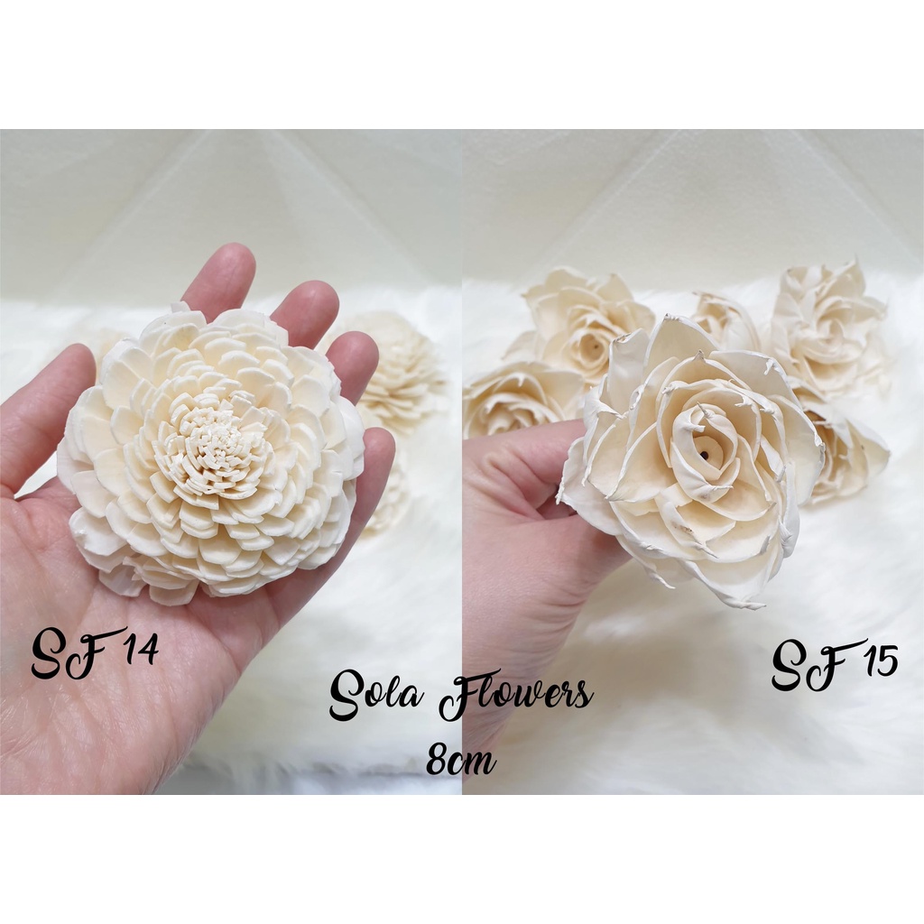 SOLA FLOWERS 8 CM / BUNGA SOLA WOOD DIFFUSER