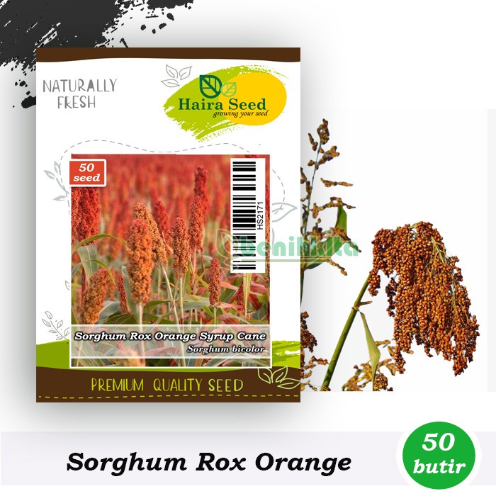 Benih-Bibit Sorghum Rox Orange Syrup Cane (Haira Seed)