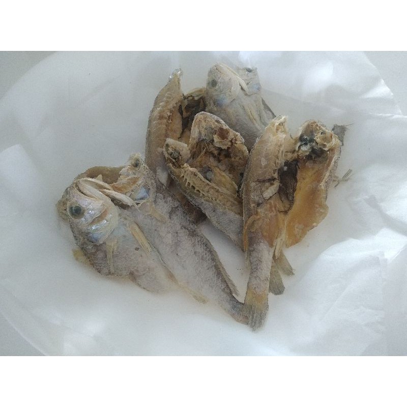 

ikan asin kering glomo/gulama