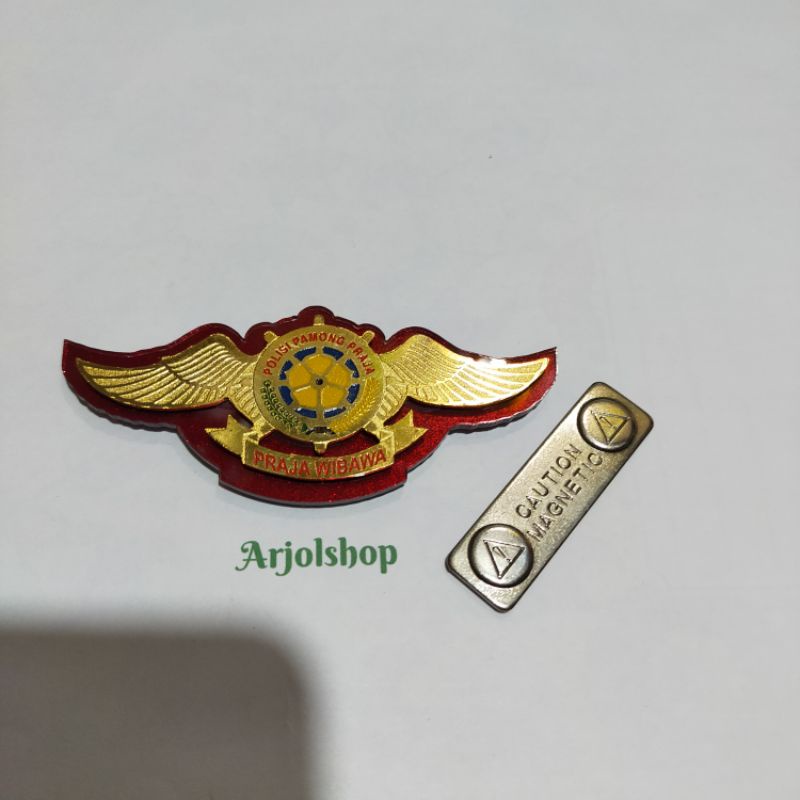 pin wing Satpol-PP/satuan polisi pamong praja