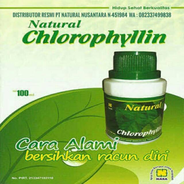 Chlorophyllin Nasa Cara Alami Untuk Bersihkan Racun Pada Diri