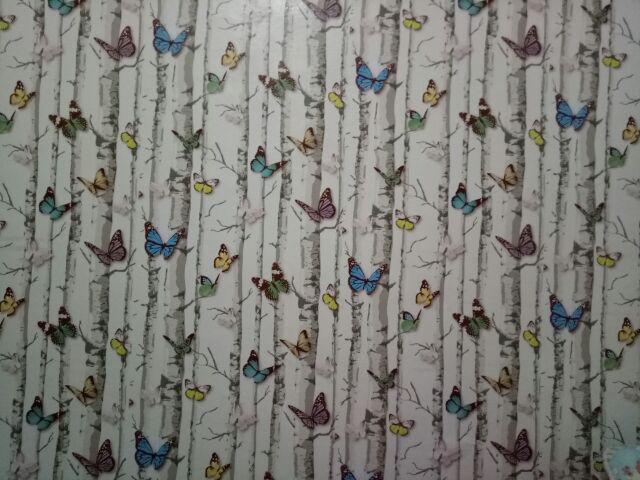 C022ls Wallpaper Sticker Ku - Cute Kupu Kupu Wallpaper Dinding